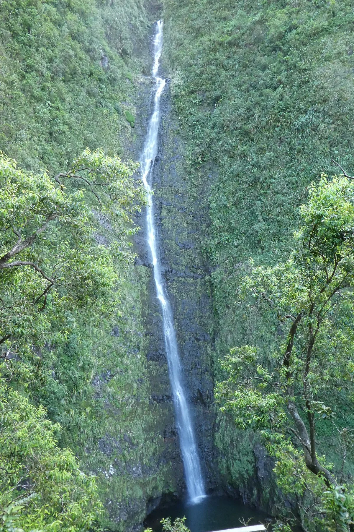 Cascade Biberon