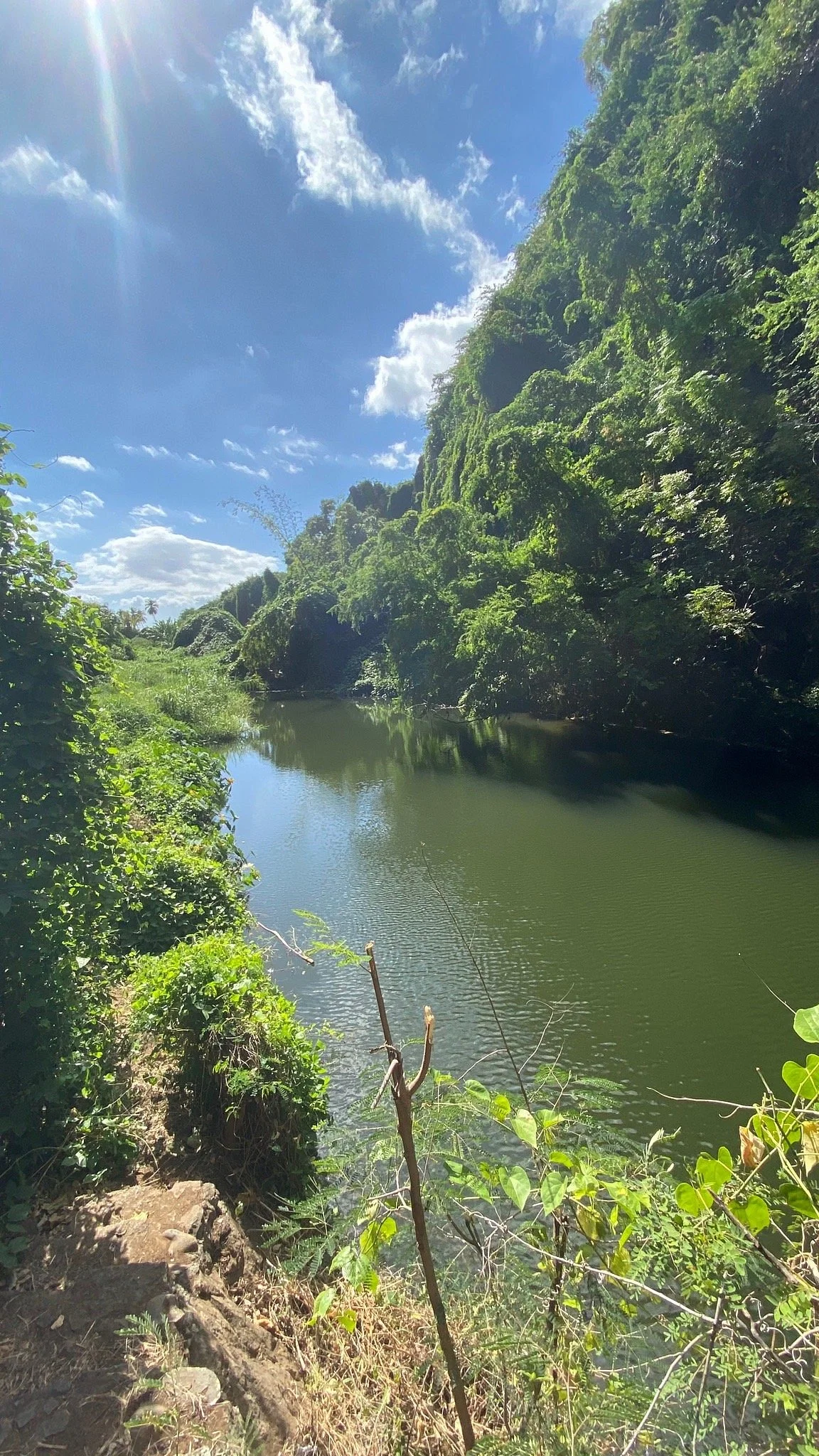 Ravine Bernica