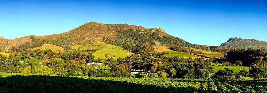 Constantia Valley Tourism