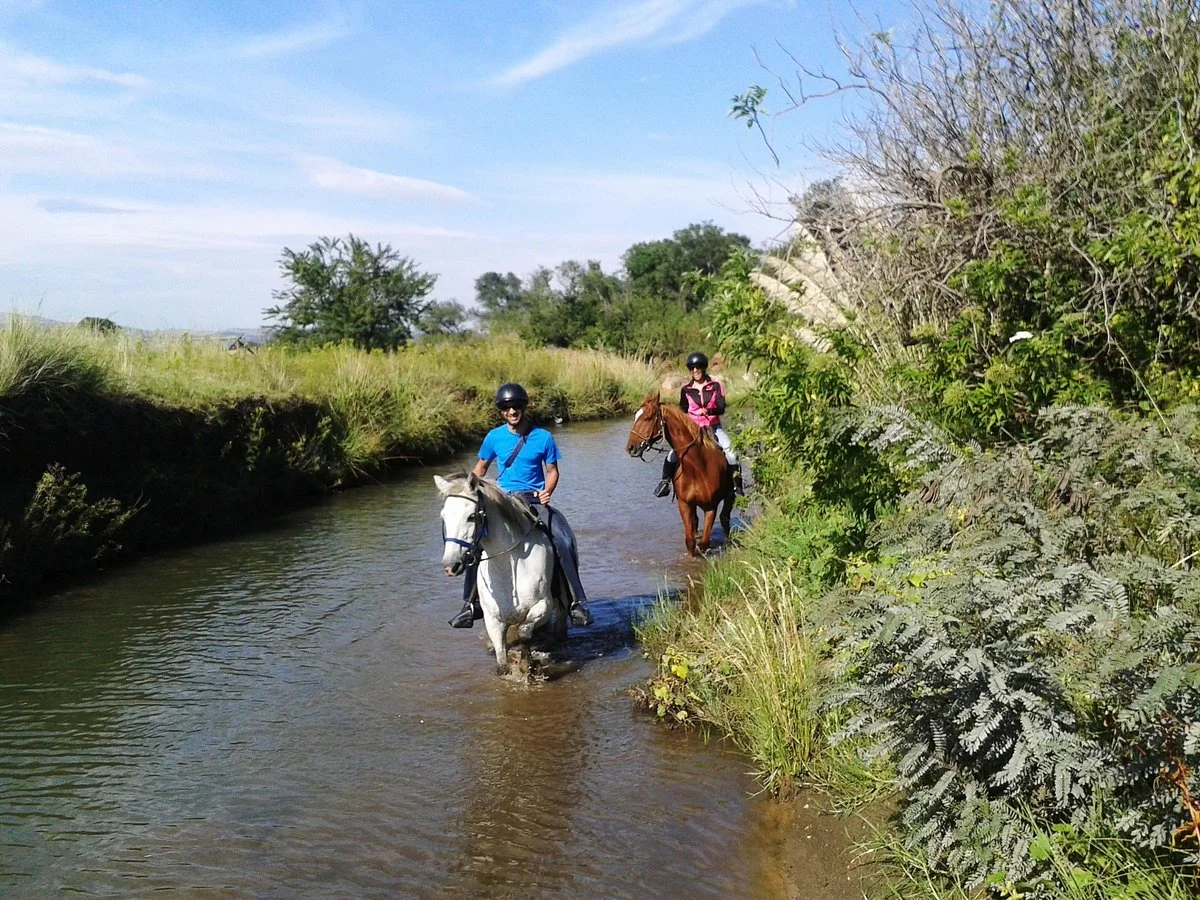 Klipriviersberg Nature Reserve Horse Trails
