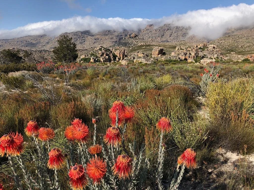 Groot Krakadouw Trail