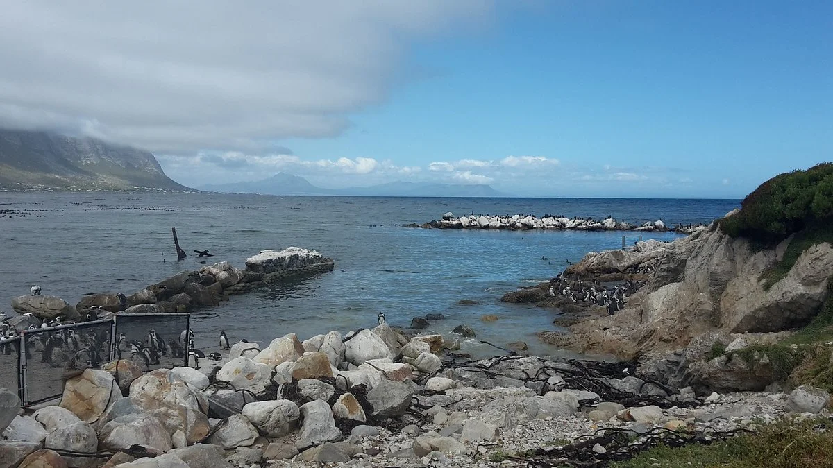 Old Whaling Station