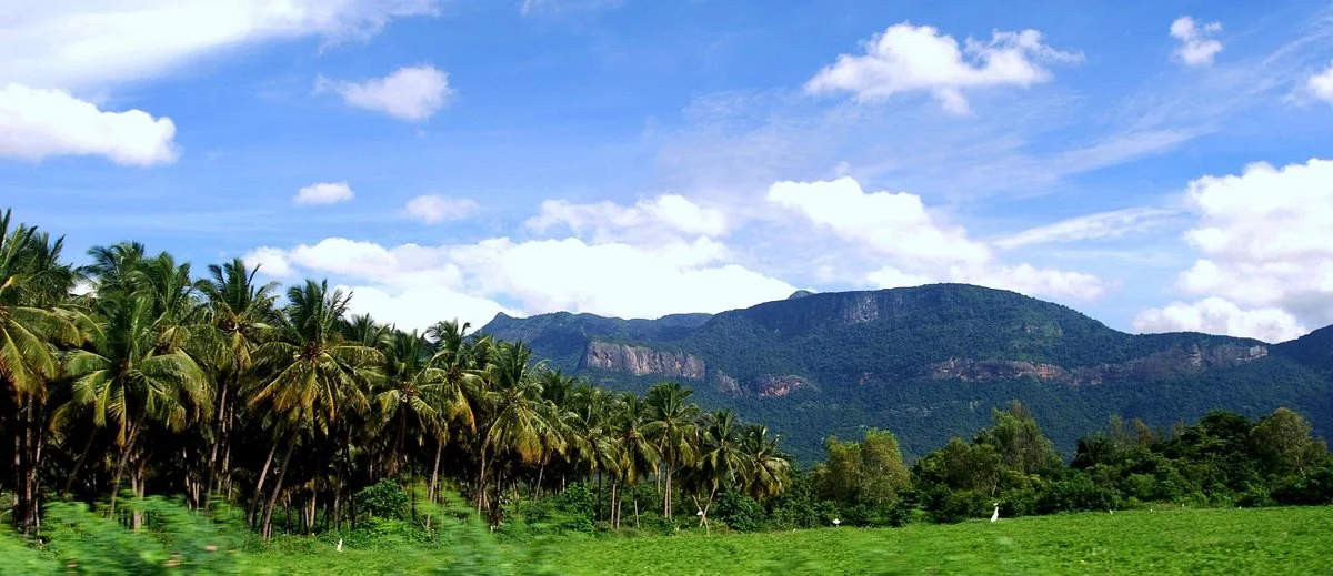 Parambikulam Tiger Reserve