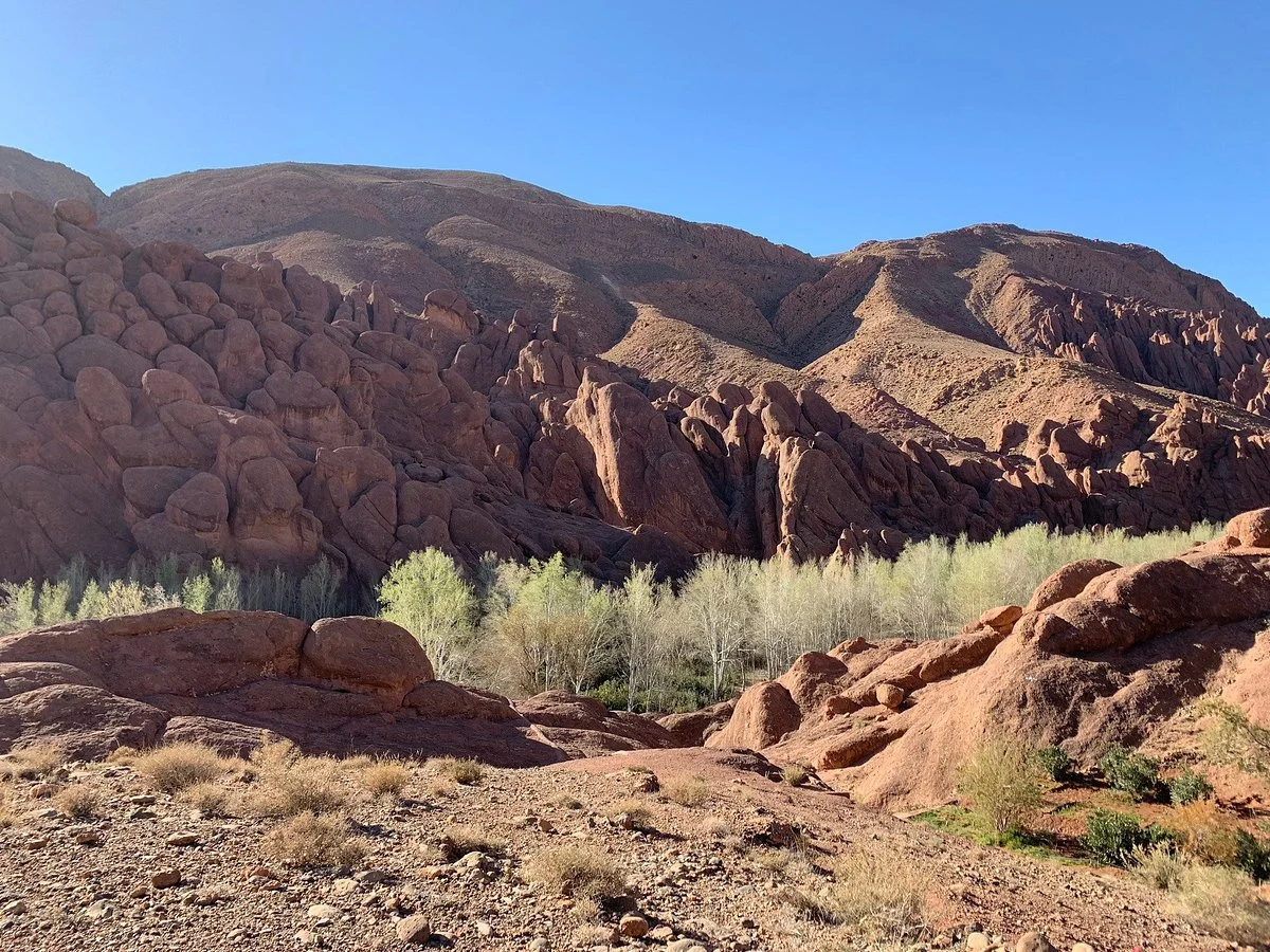 Monkey Paws Mountains