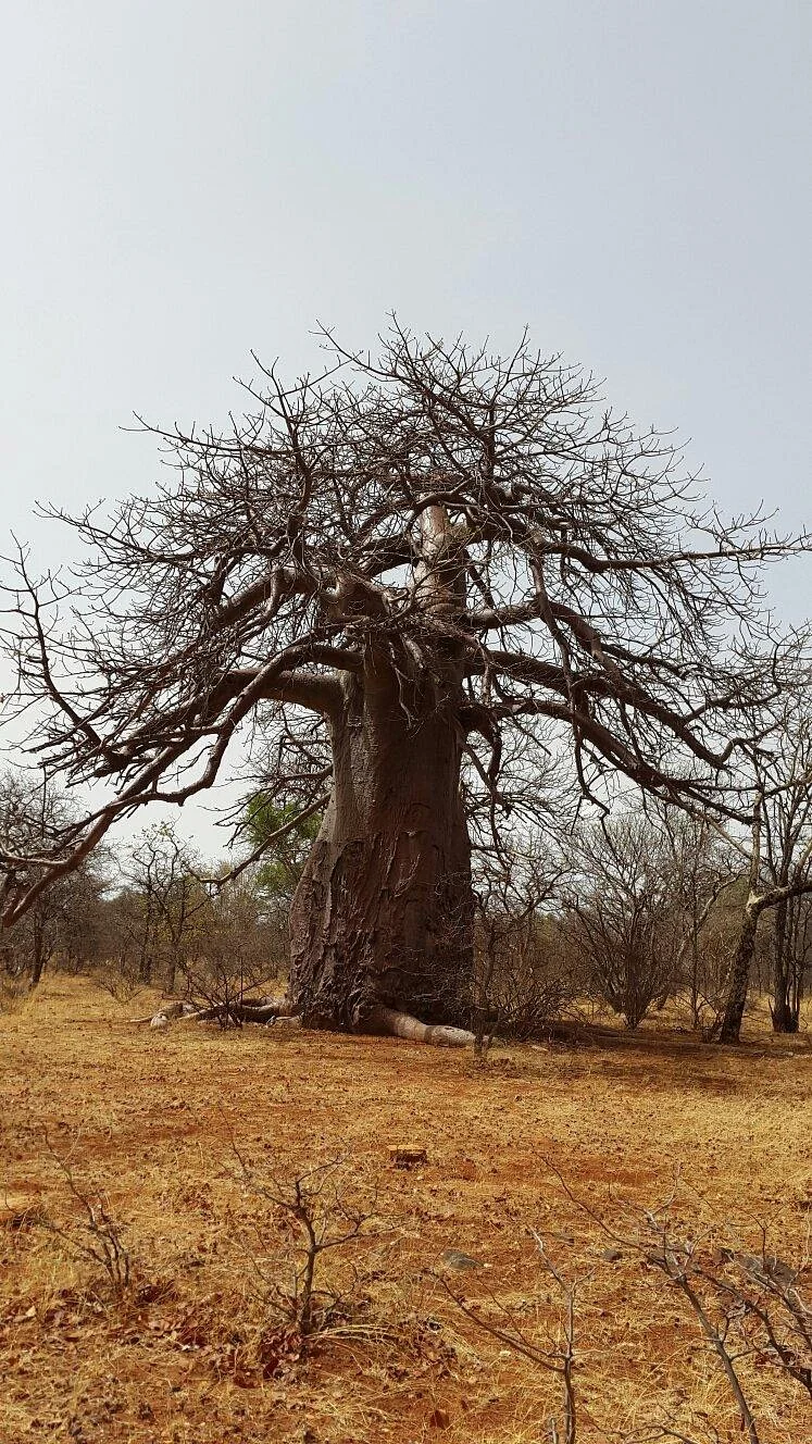 Musina Nature Reserve