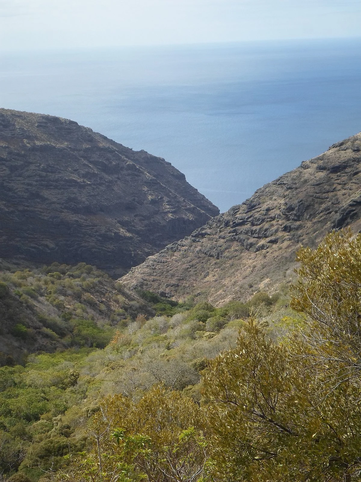 Lemon Valley