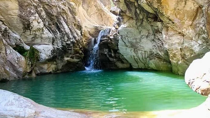 El Feija National Park