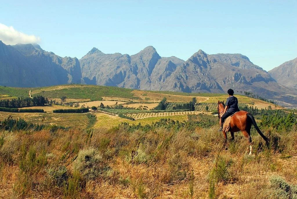 Fynbos Trails