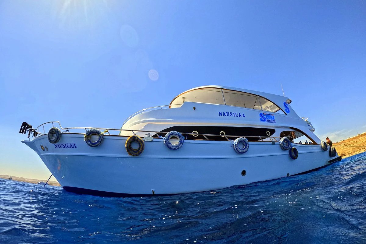 Sharm Scuba Service by Sprindiving