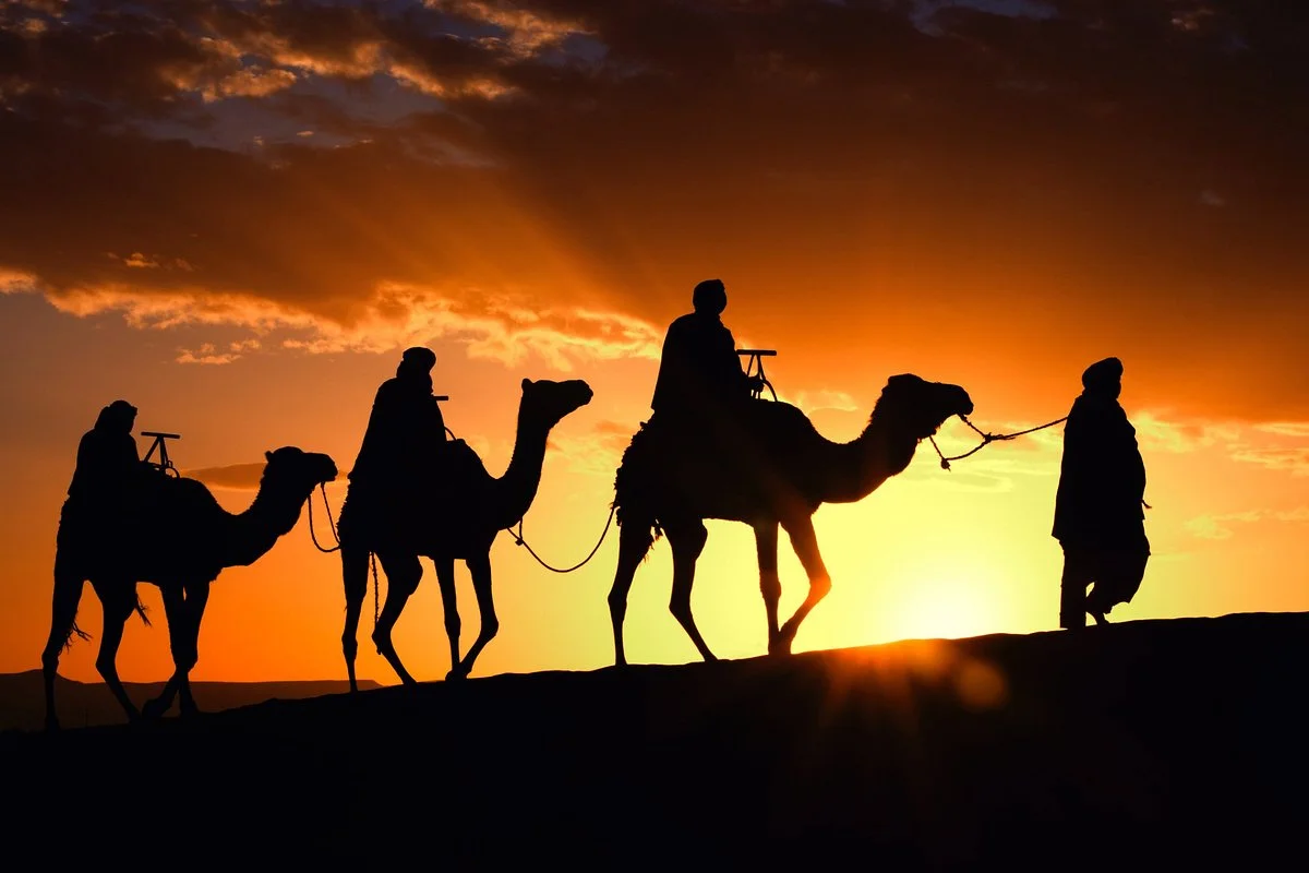 Best Travel Morocco
