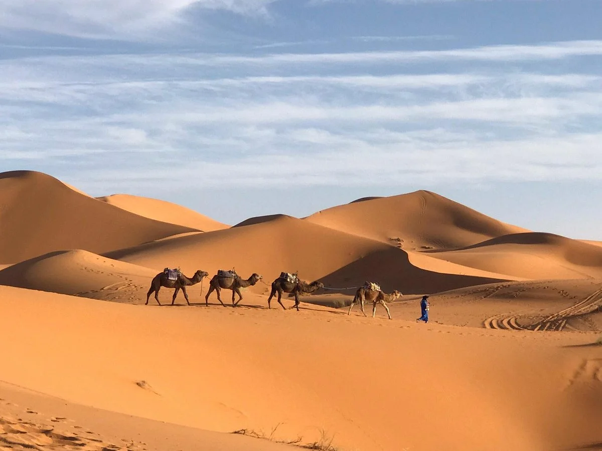 Vacanze Nel Deserto