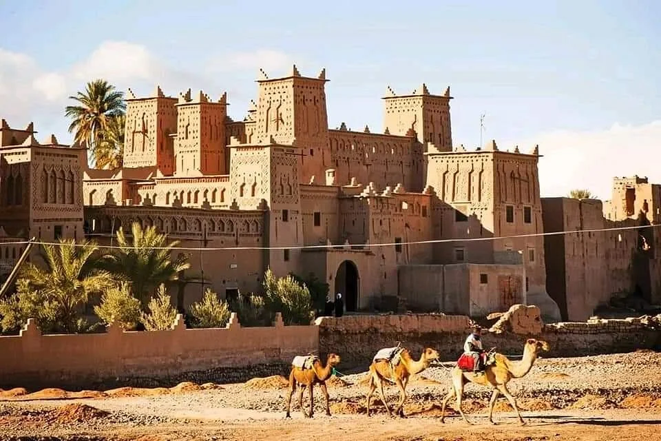 Morocco Desert Trips