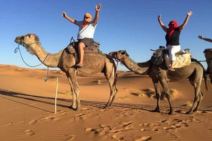 Merzouga Camel Tours