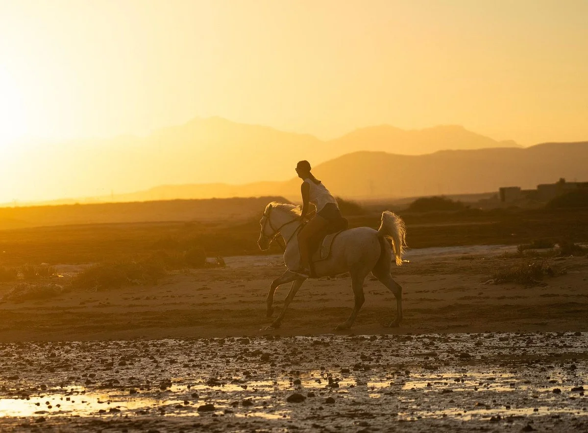 YallaHorse Riding