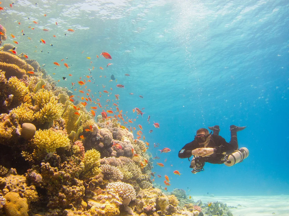 H2O Divers Dahab