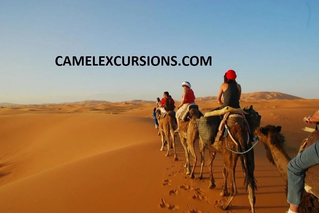 Camel Excursions Morocco