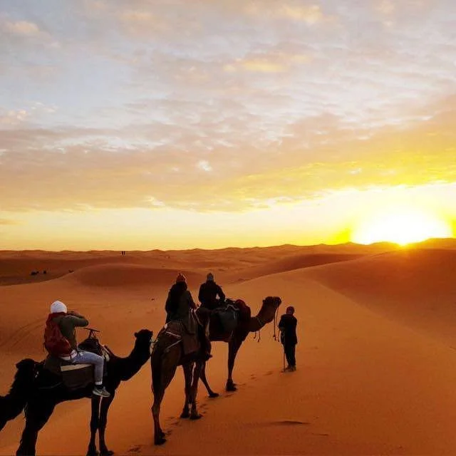 Agadir Sahara Trip
