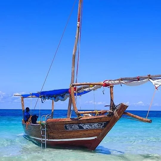 Zanzi Dream Tours