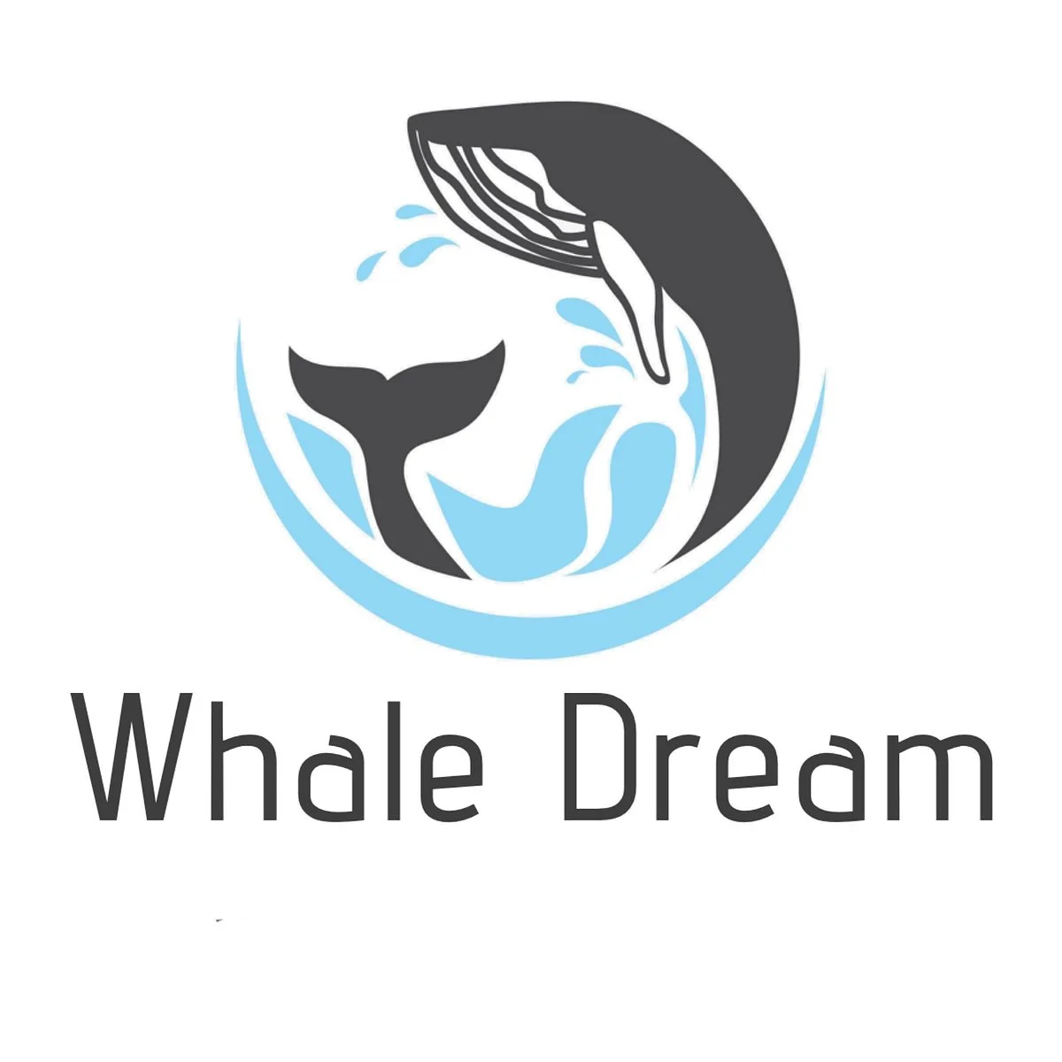 Whale Dream - Whale watching in Mauritius