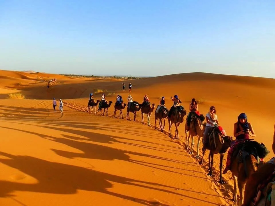 Moda Camp Merzouga Tours