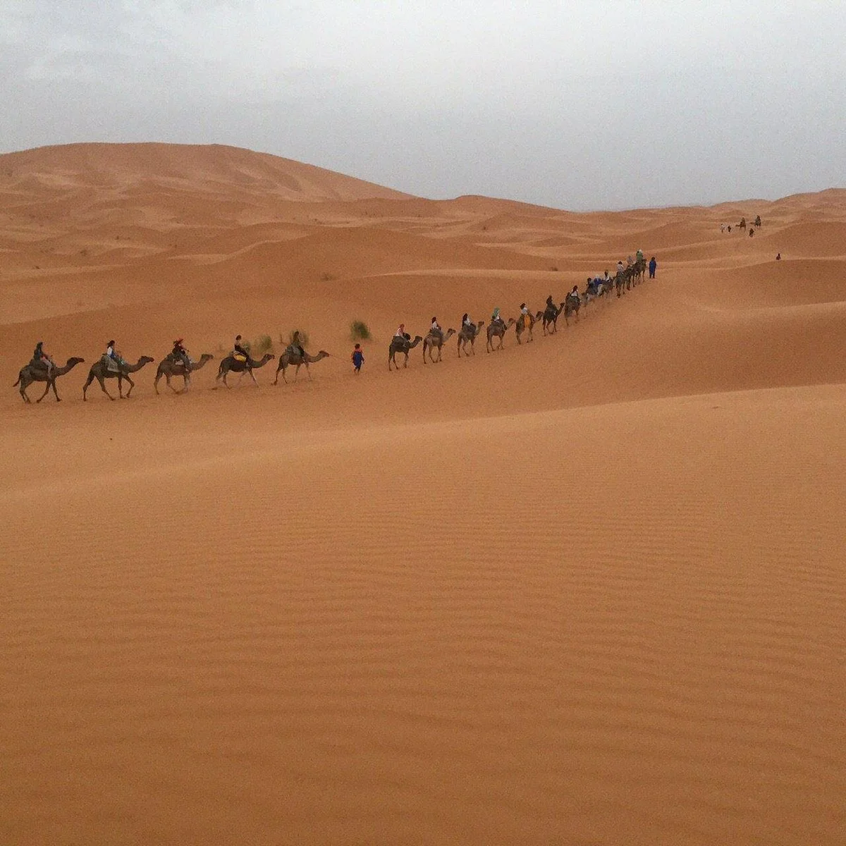 Excursão No Marrocos