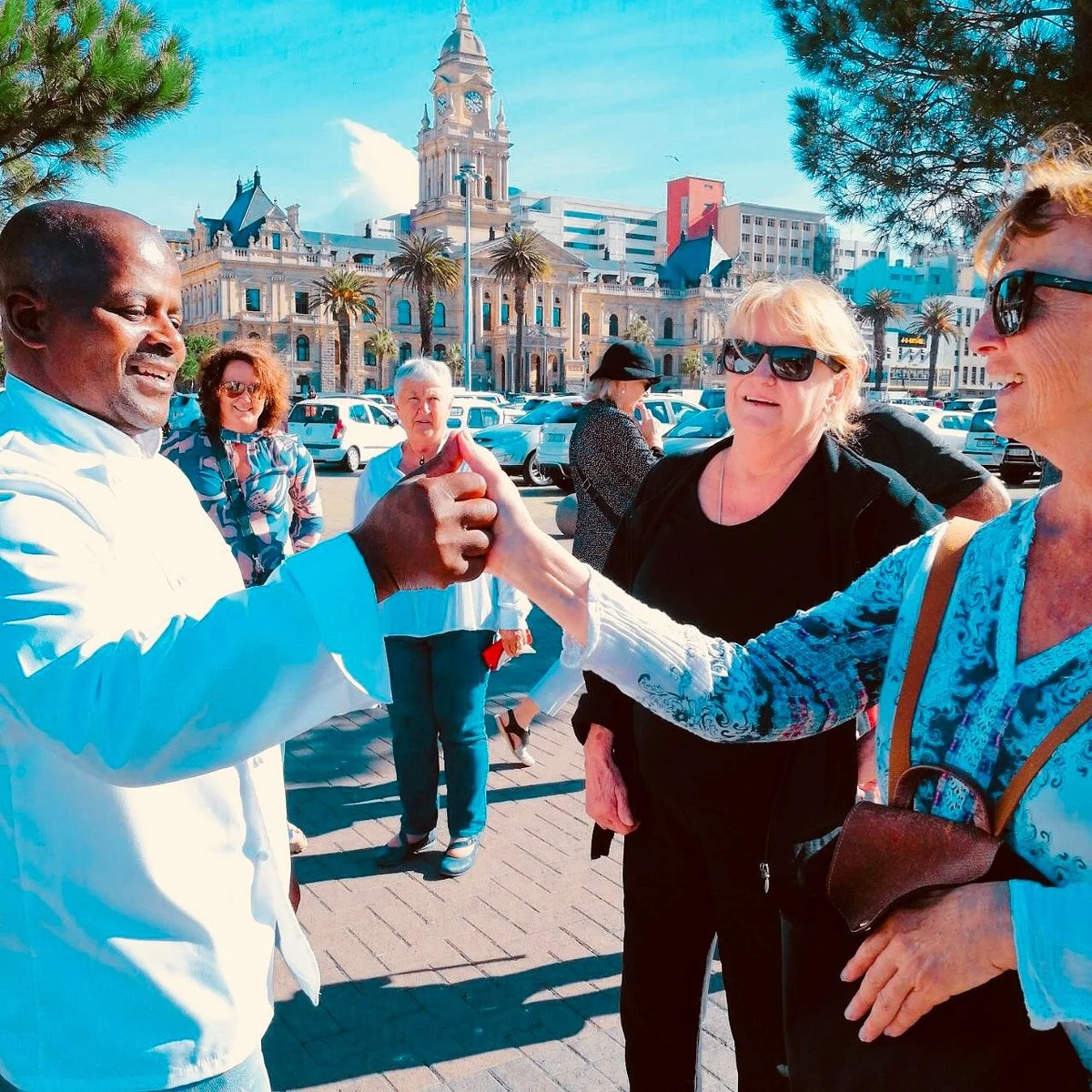 Cape Fusion Tours - Day Tours