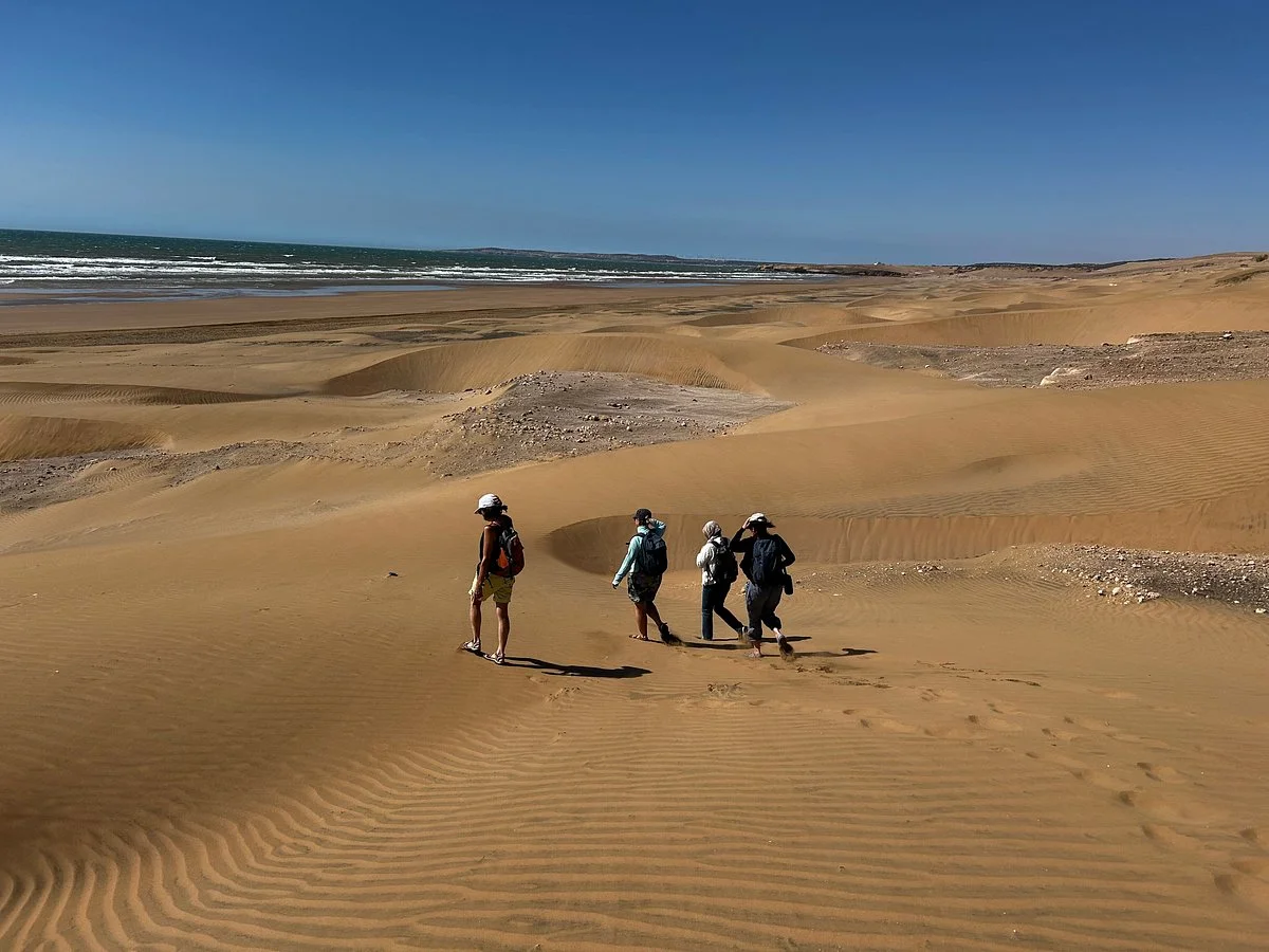 Be-In-Naturetours