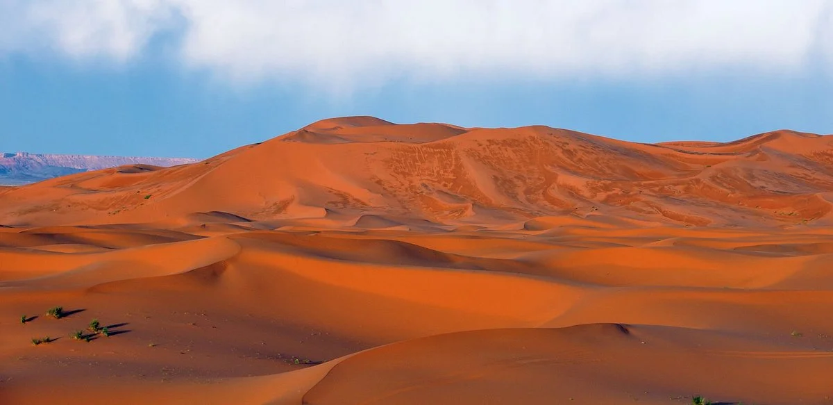 Travel Morocco Tour