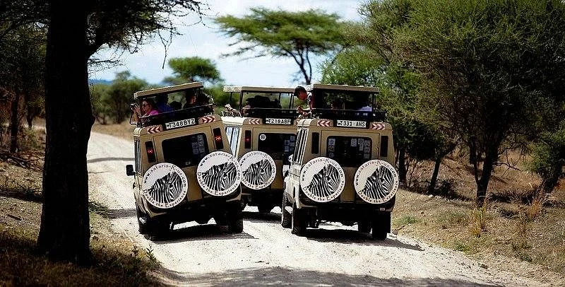 Safaris-R-Us