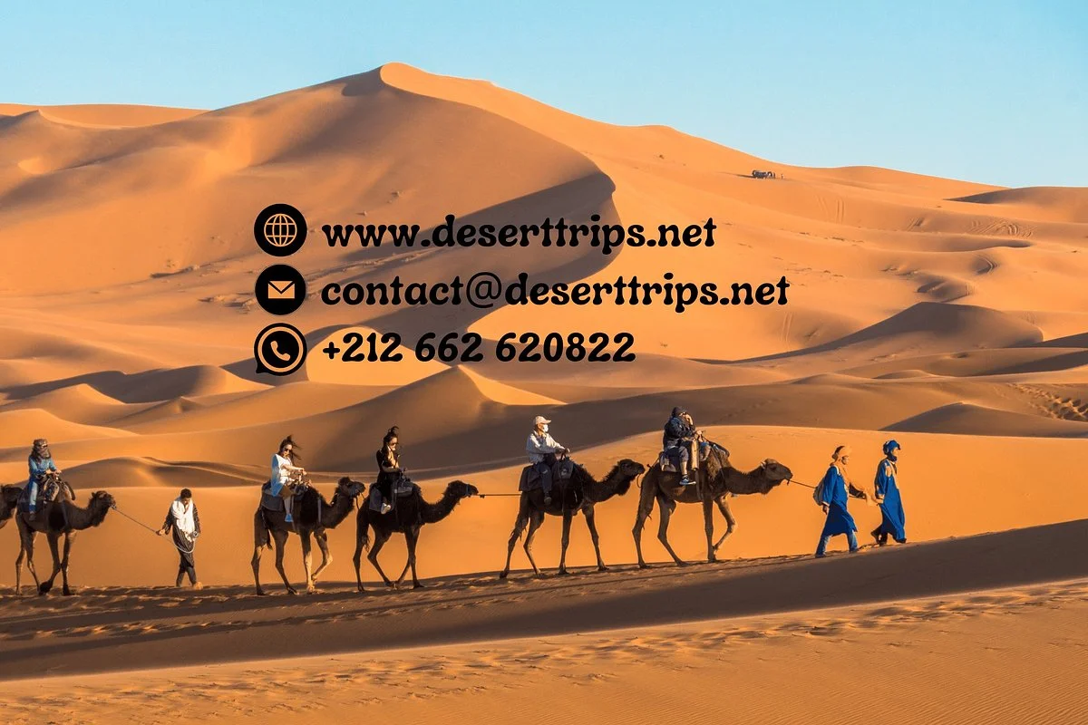 DesertTrips