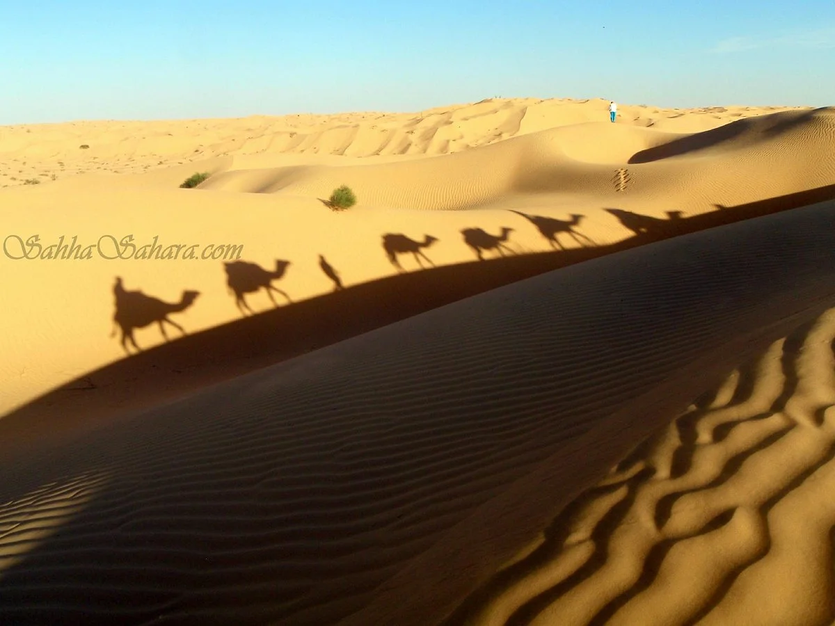 Sahha Sahara