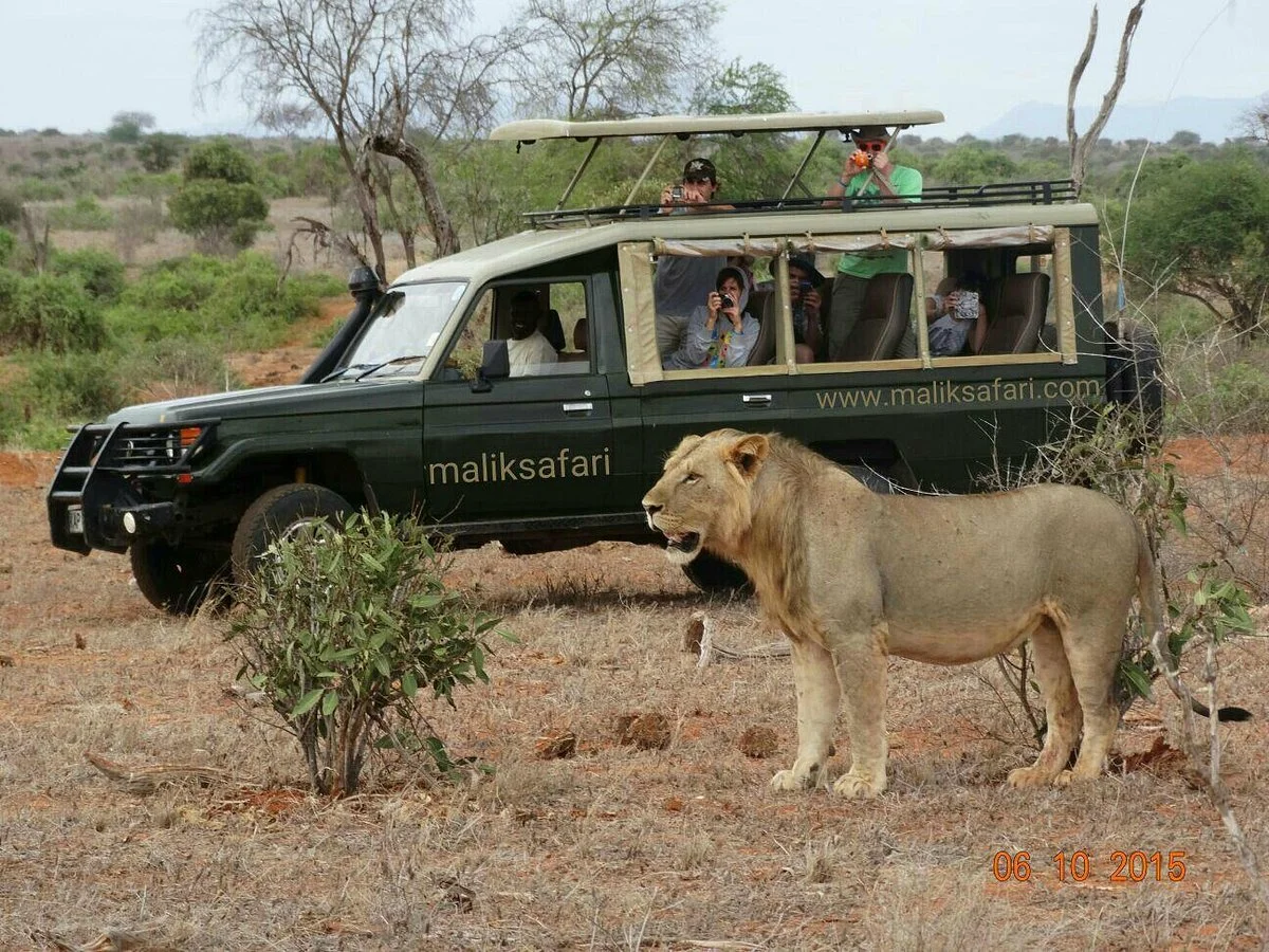 Malik Safari