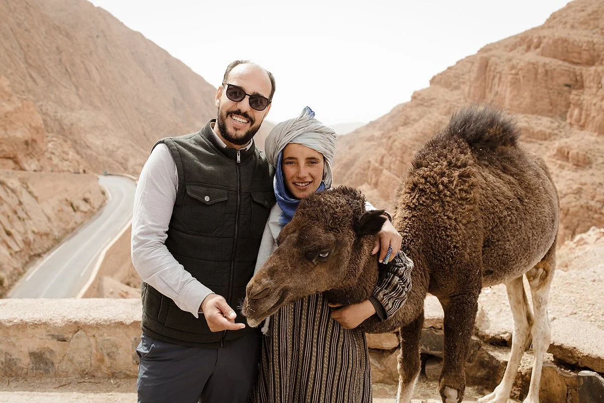 Roaming Camels Morocco