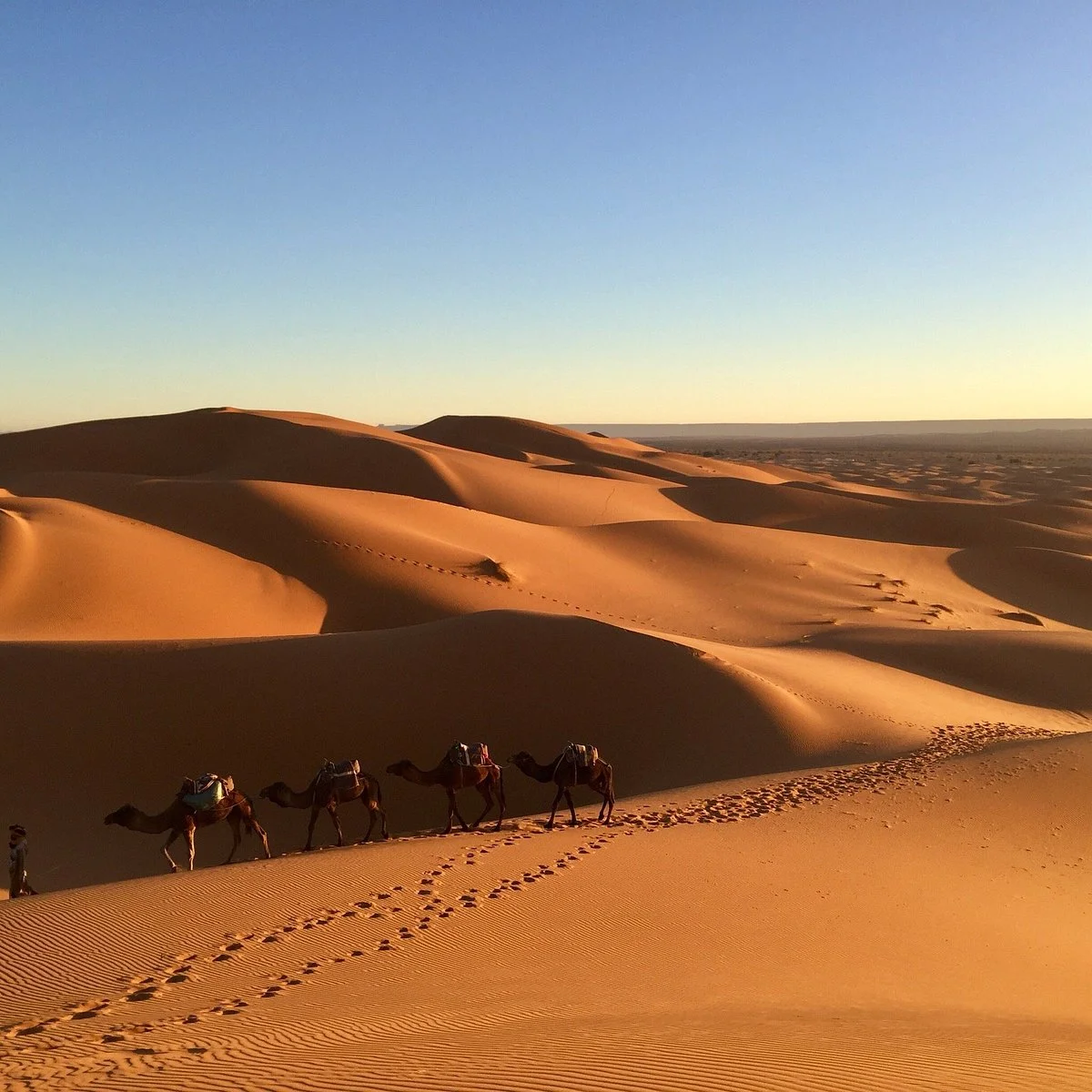 Mouhou Tours