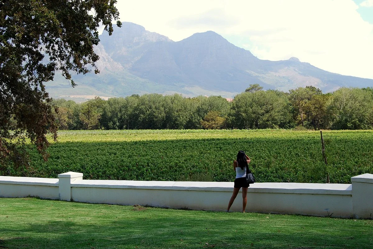 African Story Wine Tours