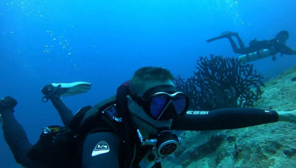 Just Diving
