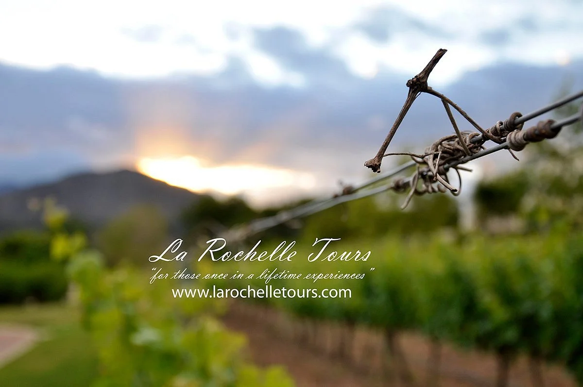 La Rochelle Wine Tours