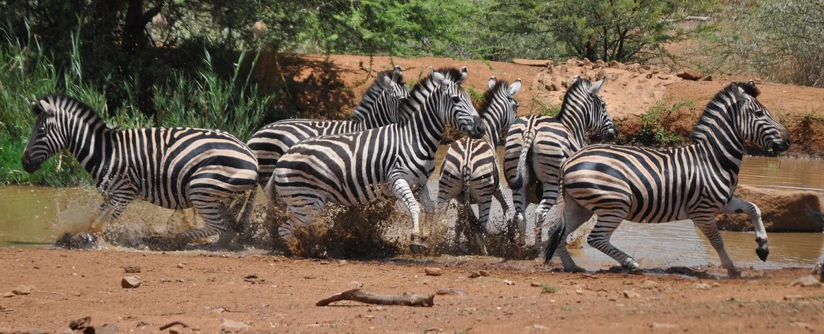 Ekala Eco Tours