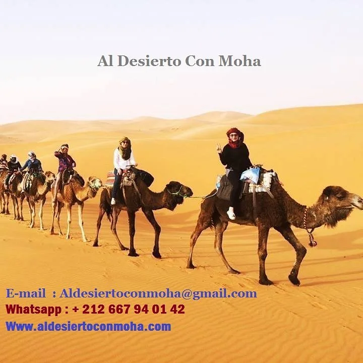 Al Desierto Con Moha