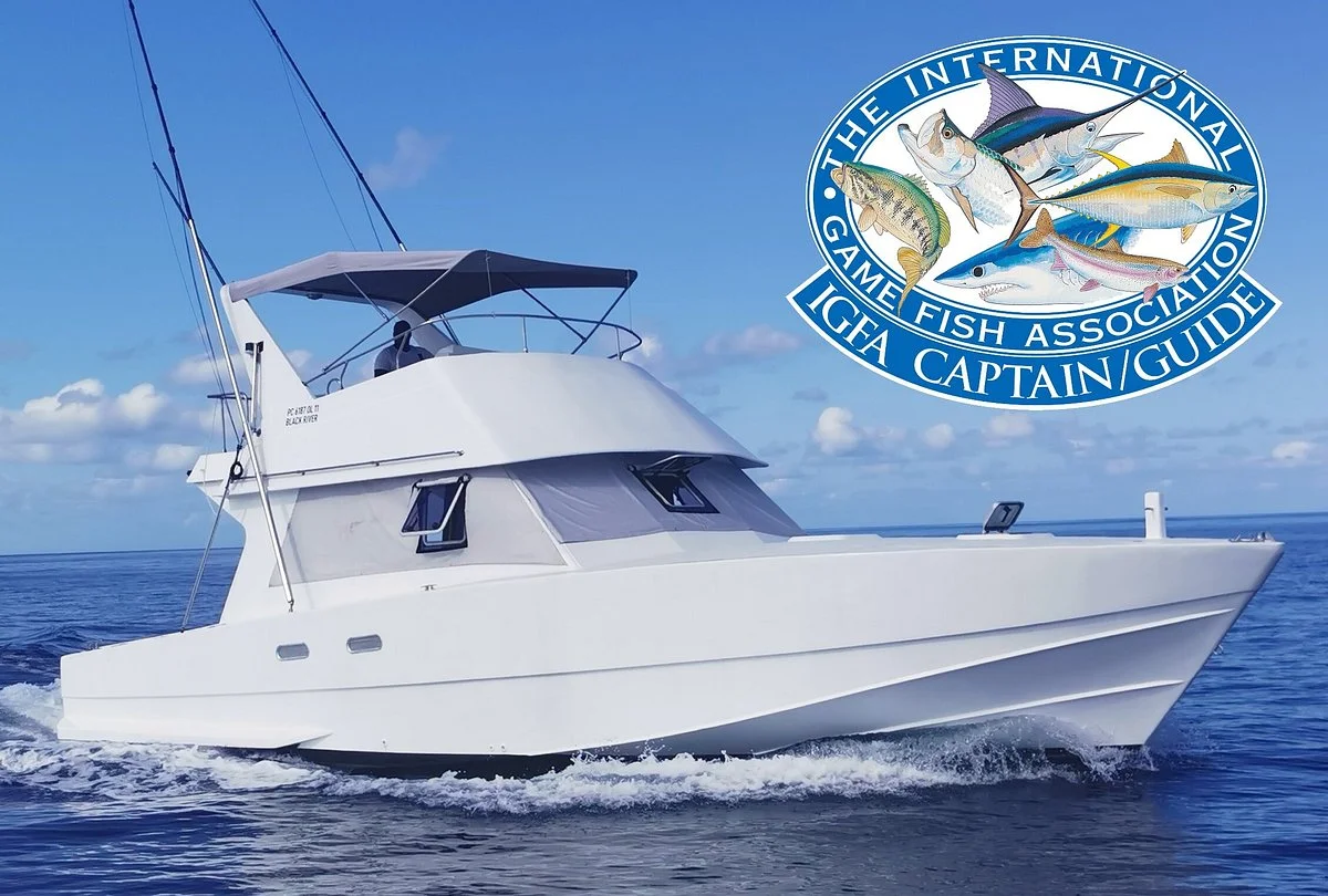 Golden Wave - Fishing - IGFA Captain Vic