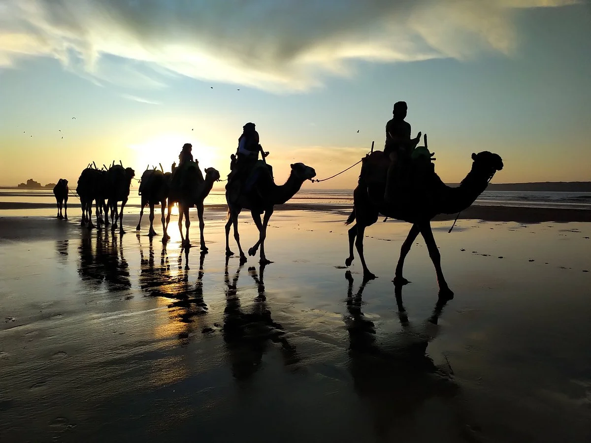 Les Randos des Dunes