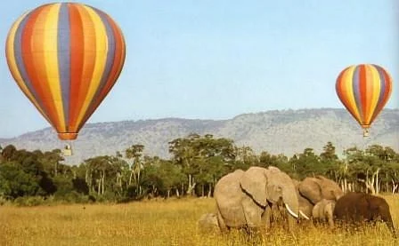 Right Choice Tours & Safaris