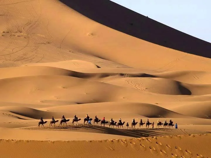 Viajaremos Marruecos- Day Tours