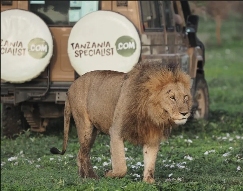Tanzania Specialist