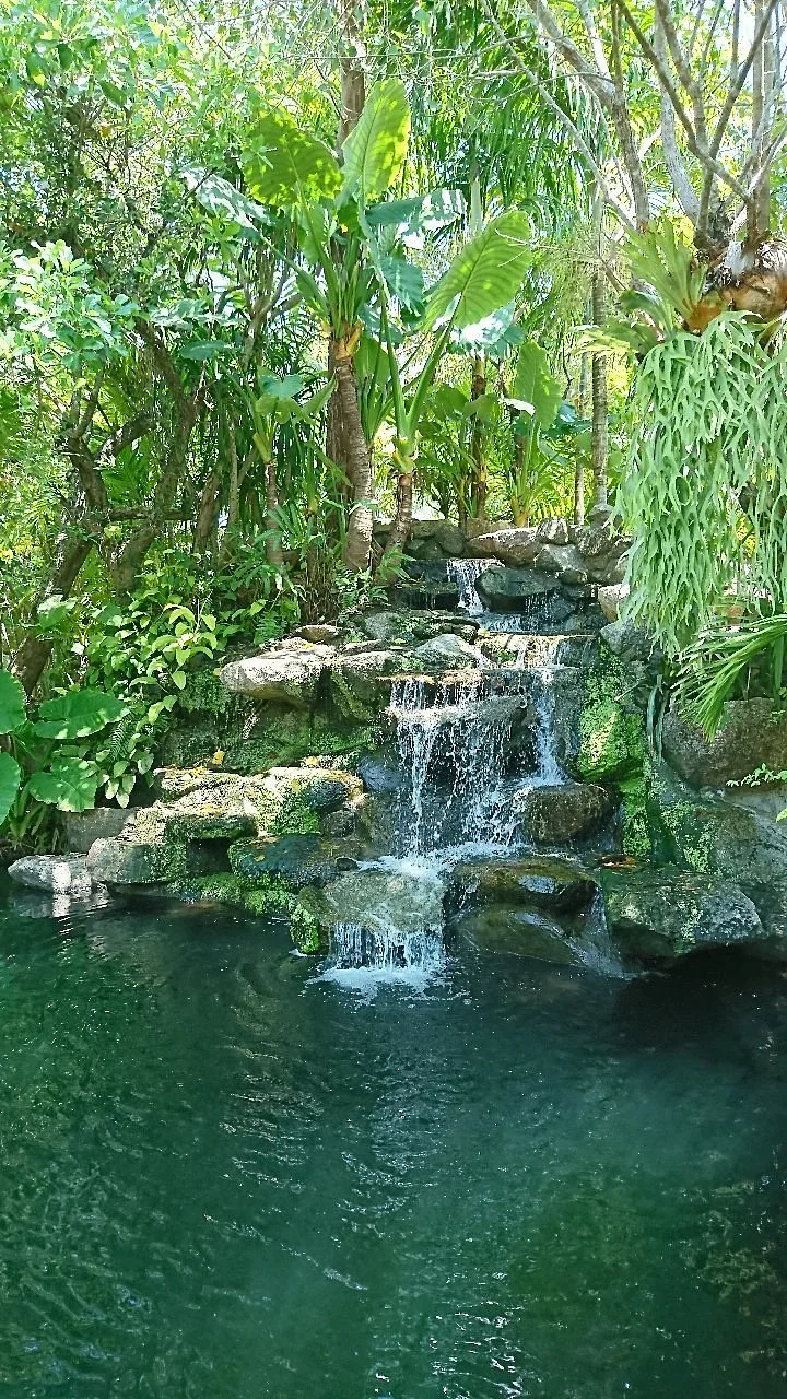 Phuket Botanic Garden