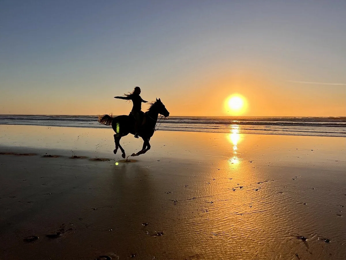 Equi Evasion