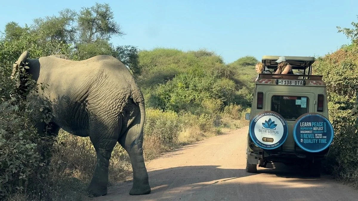 Blue Lotus Travel and Tours Ltd