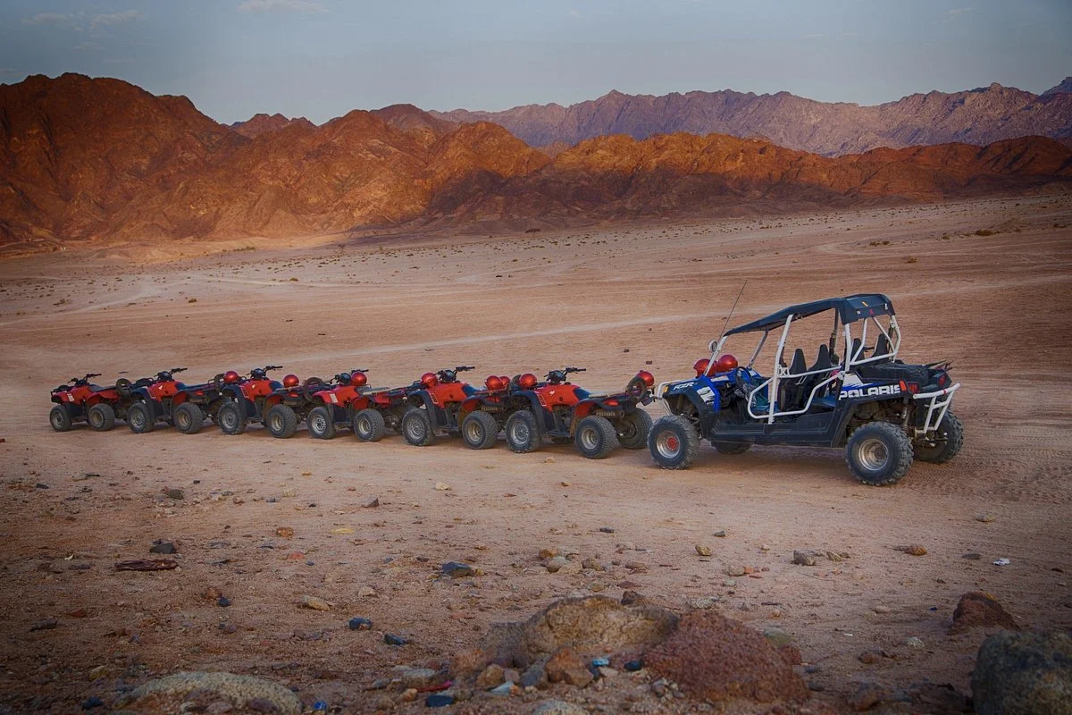 El Sherif Safari