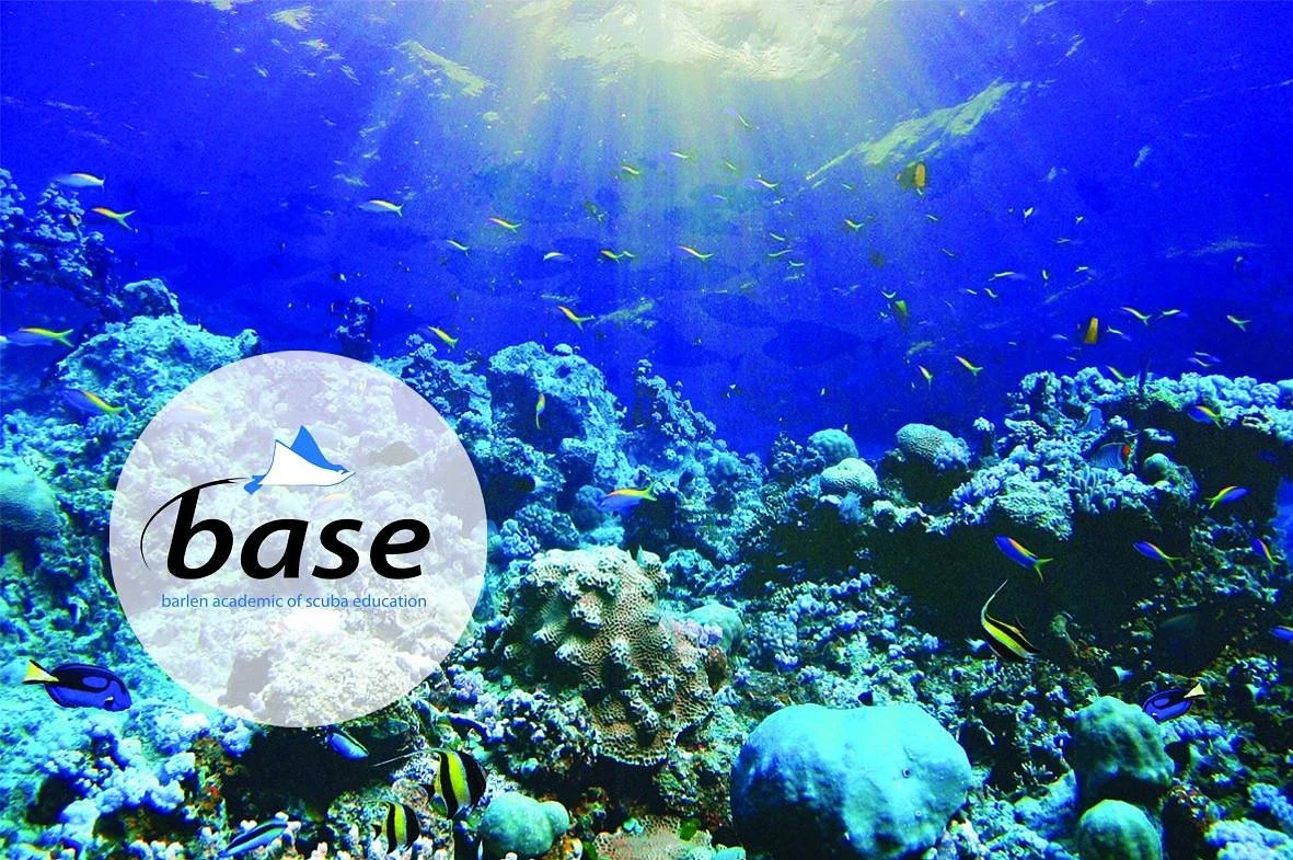 BASE Diving Centre Ltd