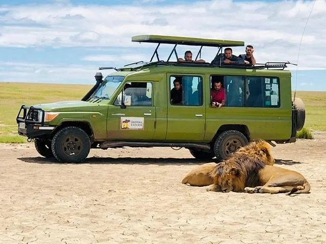 Shayona Safaris & Tours
